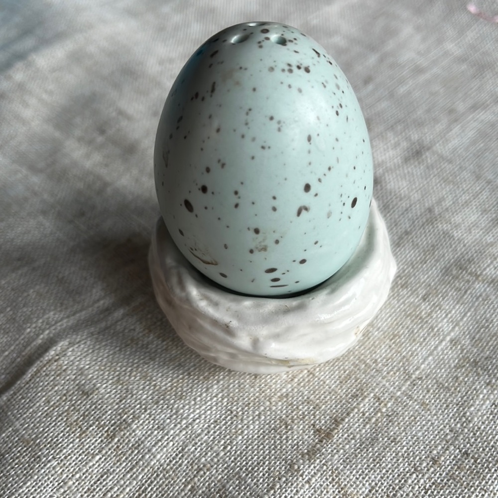 Adorable spring salt/pepper